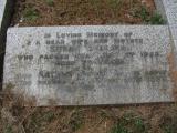 image of grave number 738150